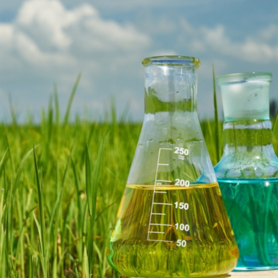 Fertilizer & Agrochemical